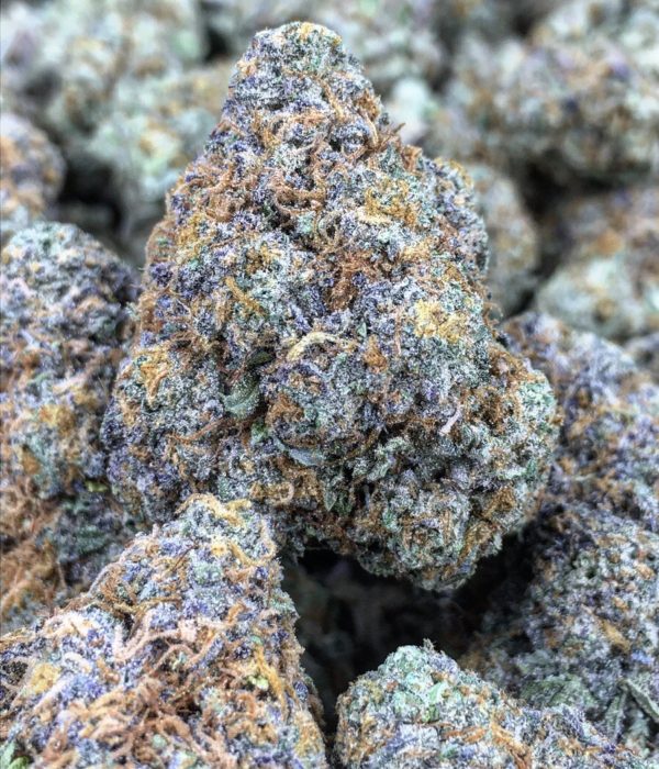 Berner's Cookies